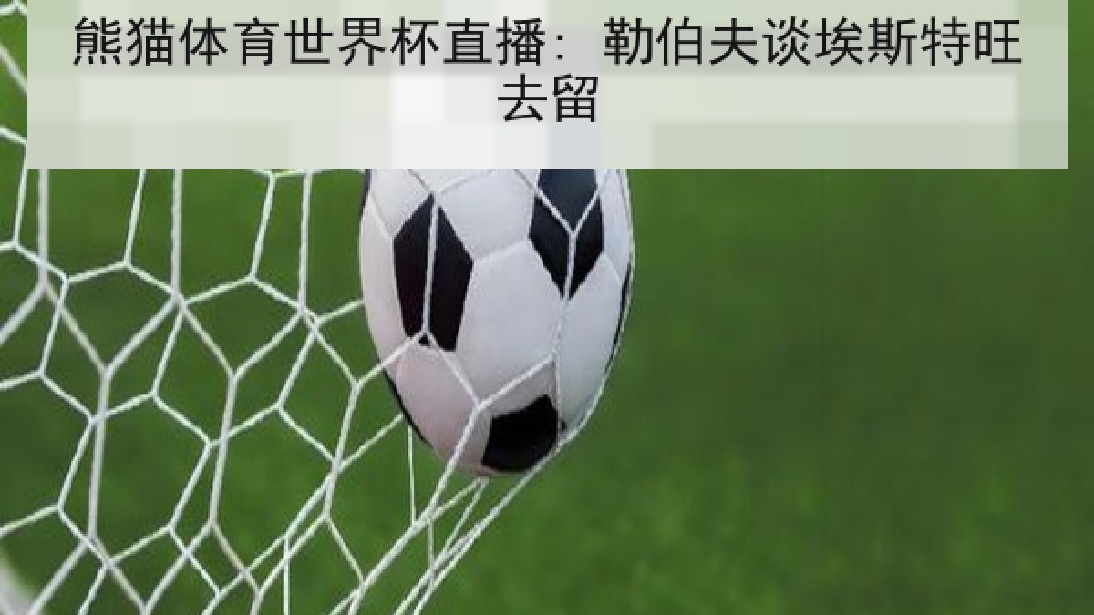 熊猫体育世界杯直播: 勒伯夫谈埃斯特旺去留 熊猫体育世界杯直播: 勒伯夫谈埃斯特旺去留